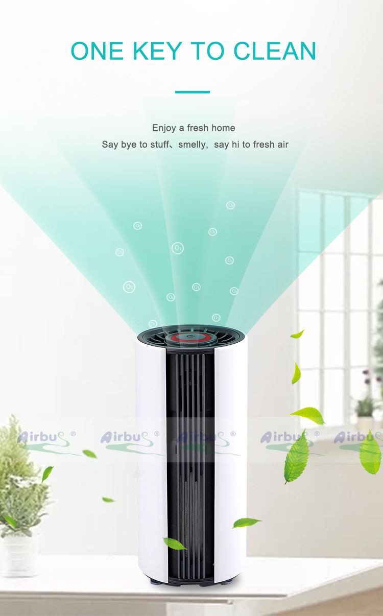 home smoke air purifier