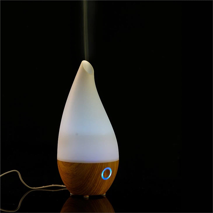 Diffuser Humidifier fashion