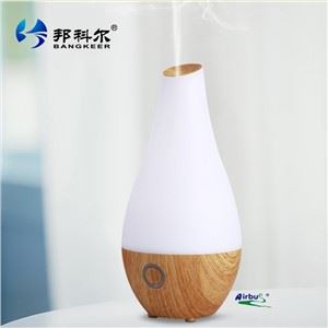 Ultrasonic Air Humidifier Purifier Diffuser With USB